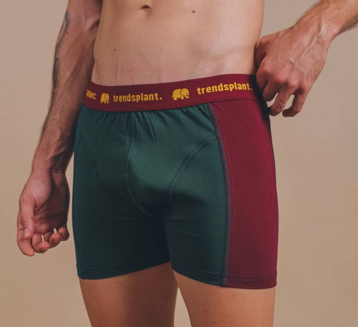 Vêtement Trendsplant Organic Essential Boxer Briefs Vêtement Trendsplant Organic Essential Boxer Briefs