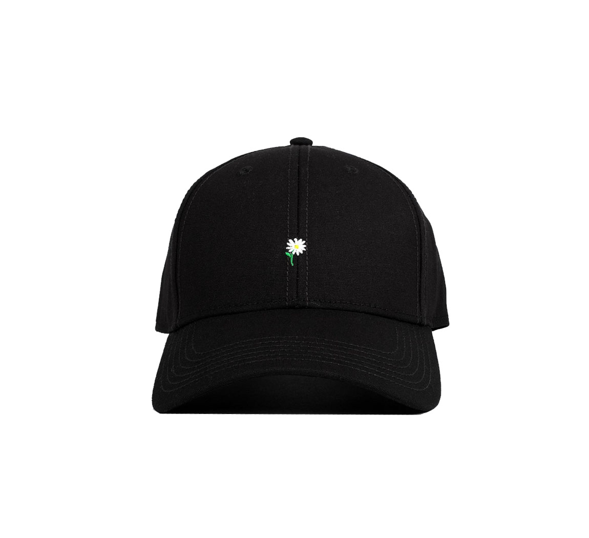 Casquette dedicated Casquette Dedicated
