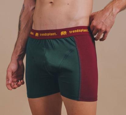 Organic Essential Boxer Briefs
